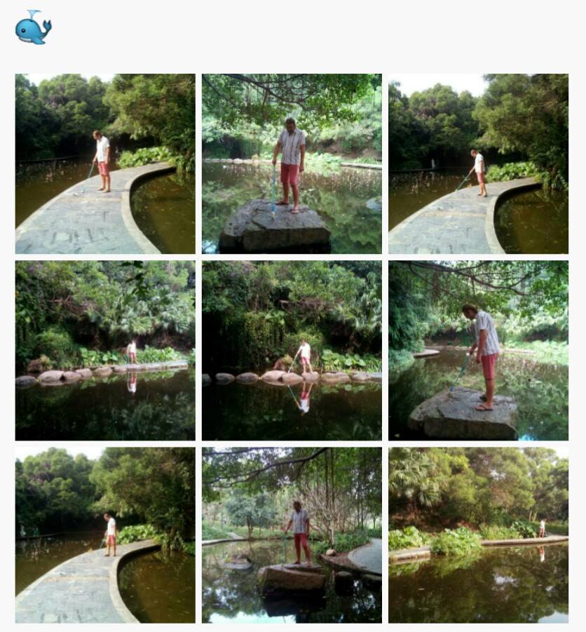 12235115_10207241508970033_6112553592499450403_n